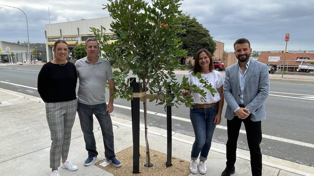 Merimbula town centre gets green makeover